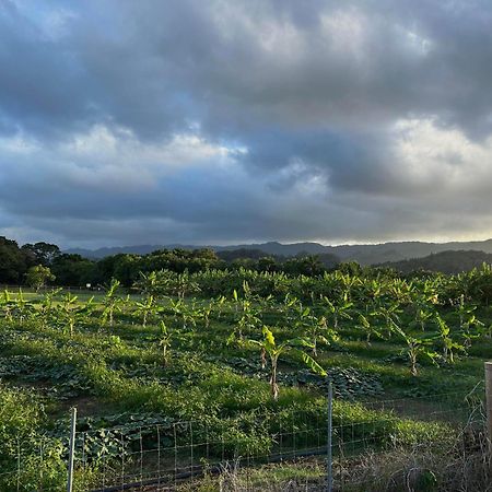 Maleka Farm: Tent Glamping North Shore Oahu Laie Eksteriør billede