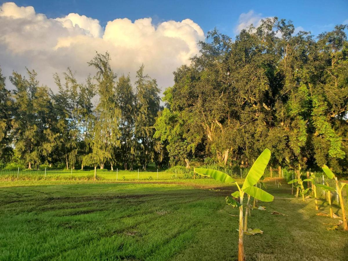 Maleka Farm: Tent Glamping North Shore Oahu Laie Eksteriør billede