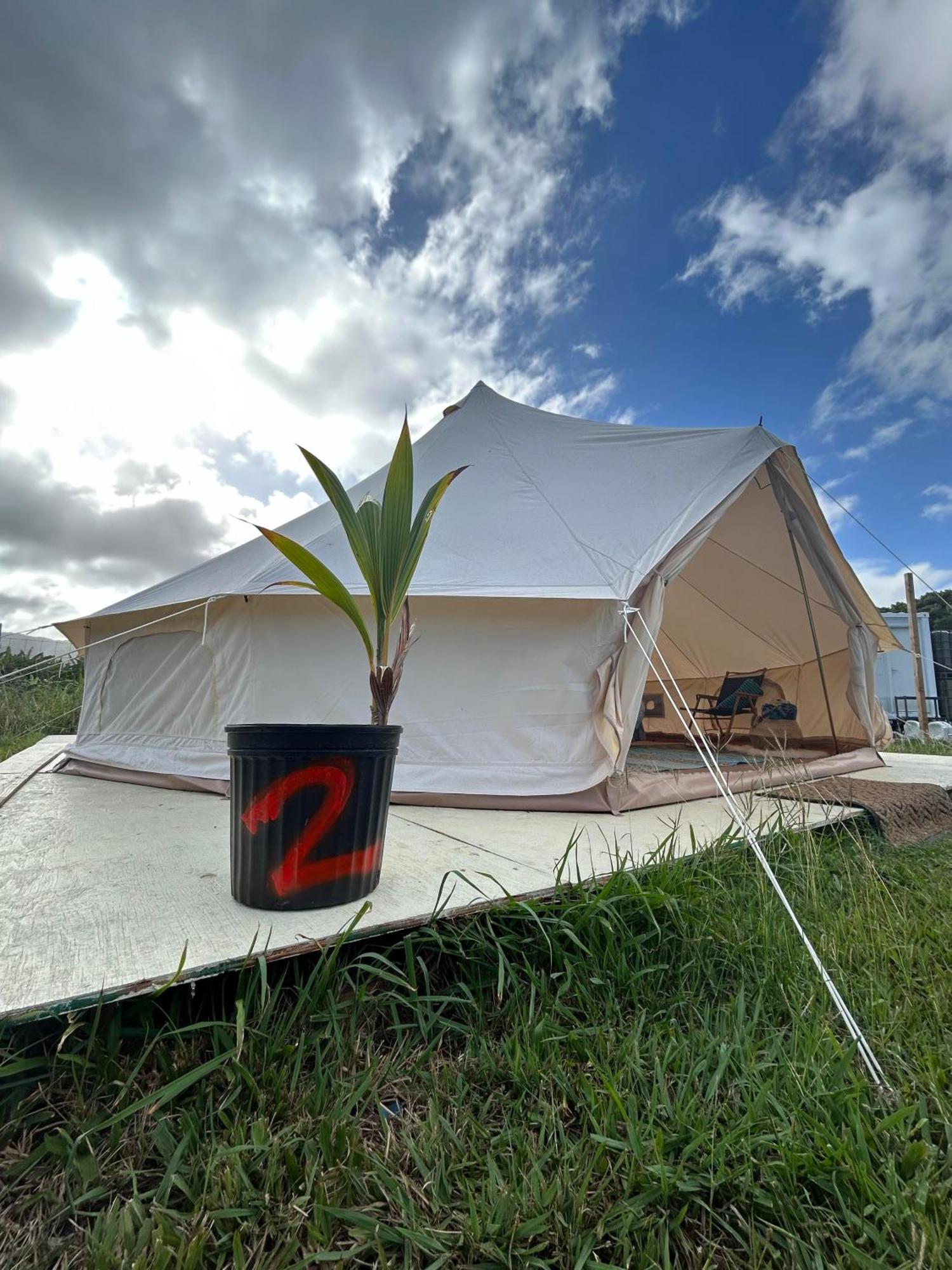 Maleka Farm: Tent Glamping North Shore Oahu Laie Eksteriør billede